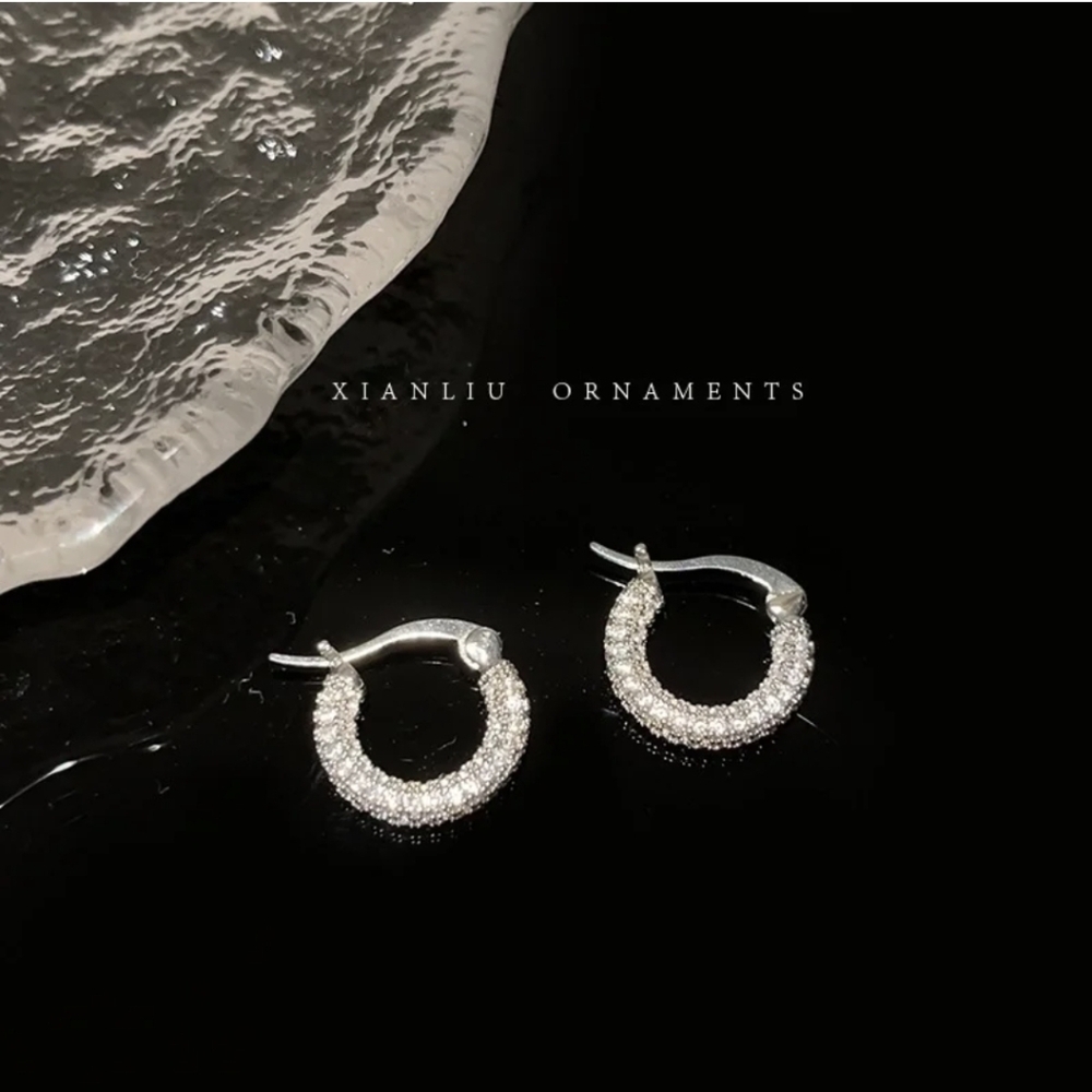 Sparkling Silver Hoop Earrings